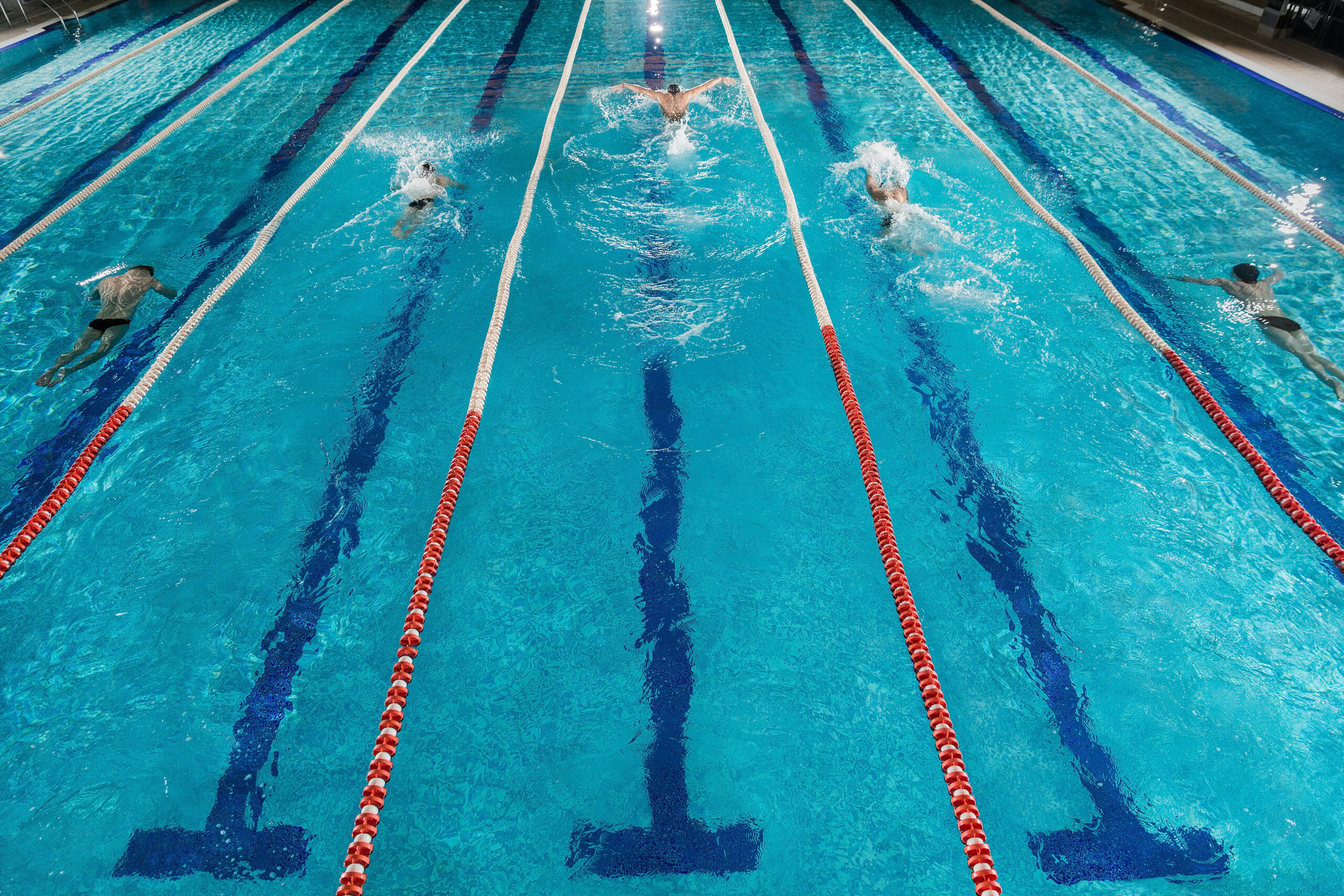 Five male swimmers doing the butterflies stroke while racing against each other in a swiming pool
